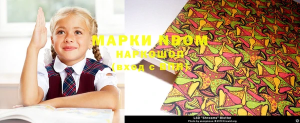 ПСИЛОЦИБИНОВЫЕ ГРИБЫ Алзамай
