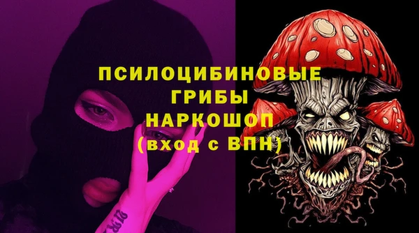 ПСИЛОЦИБИНОВЫЕ ГРИБЫ Алзамай