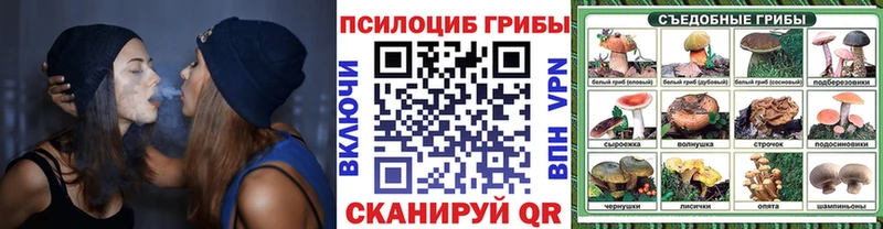 omg сайт  наркотики  Орлов  Псилоцибиновые грибы прущие грибы 