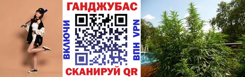 Конопля OG Kush Орлов